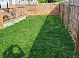 Nicole D.'s Lawn Mowing service result