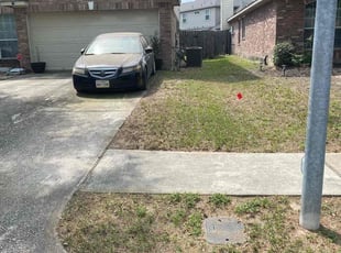 Leaf Removal by Austin Farley for Michael C. in Houston, TX