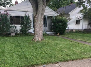 Faisal I.'s Lawn Care service result