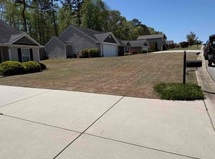 Deana G.'s Lawn Care service result