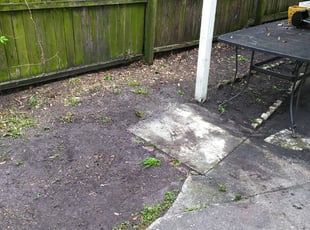 Cleanups by Horace Swann for Sean C. in Jacksonville, FL