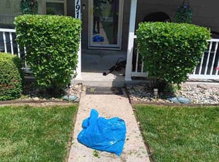 Bush Trimming by Steven J. Smith for Glenda W. in Raytown, MO
