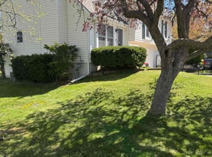 Kristin T.'s Lawn Service service result