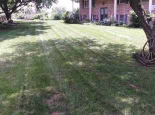 Trevor G.'s Lawn Care service result