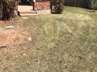 Leaf Removal by Nicholas Kennedy for Chris N. in Edmond, OK