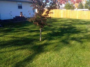 Steve J.'s Lawn Mowing Service service result