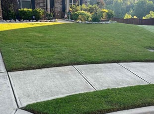 Mayowa i.'s Yard Cutting service result