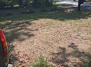Bush Trimming by Depree Hart for Terrance W. in Rock Hill, SC