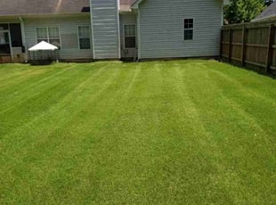 Lana F.'s Lawn Mowing Service service result