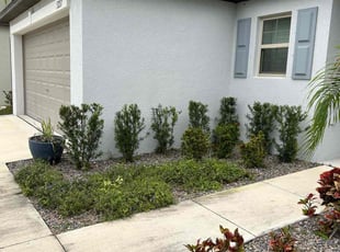 Bush Trimming by Jim Jones IV for Rick L. in Ruskin, FL