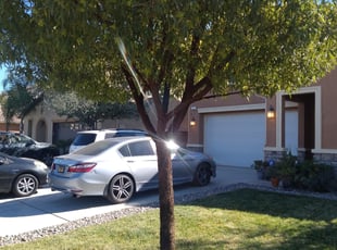 Cleanups by Luis Medina for Joan T. in Perris, CA