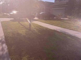 Weeding by William Chavers for Gerry G. in Riverview, FL