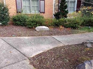 Weeding by Jordan Guerrero for Mark E. in Marietta, GA