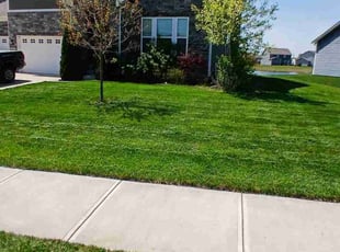 Michael V.'s Yard Cutting service result