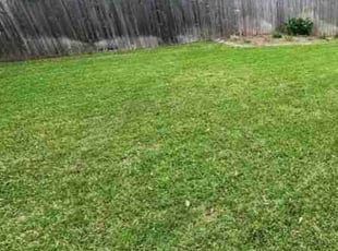 Cleanups by Ana Zelaya for Lea S. in Houston, TX