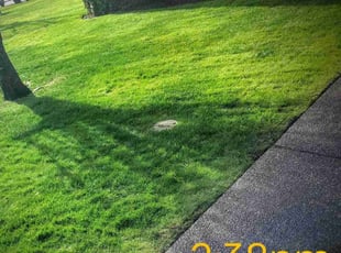 Mike S.'s Lawn Mowing Service service result