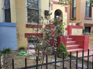 Georgia M.'s Bush Trimming service result