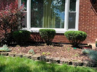 Bush Trimming by Stanley Walker for Andy E. in Homewood, IL