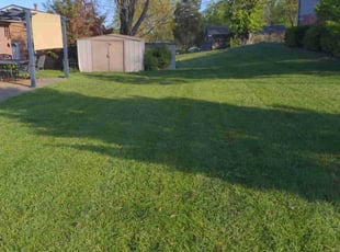 John K.'s Lawn Mowing service result