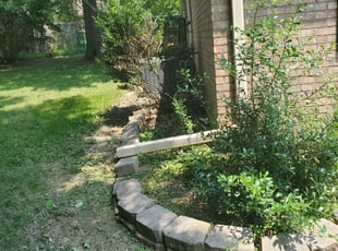 Weeding by Tommy Keeten for Petra T. in Olive Branch, MS