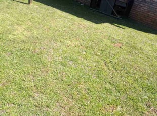 Cleanups by Patrick Budd for Terry M. in Birmingham, AL