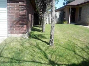 Christa M.'s Lawn Maintenance service result