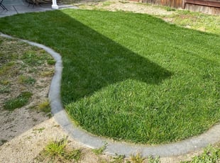 Mary C.'s Lawn Maintenance service result