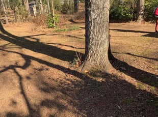 Leaf Removal by Brandon Cummings for Gregory B. in Smyrna, GA