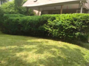 Bush Trimming by Pete Conley for Sumayya M. in Akron, OH