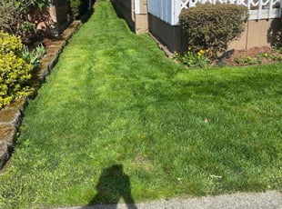 Avis Celeste J.'s Lawn Care service result