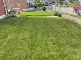 Jarod S.'s Lawn Care service result