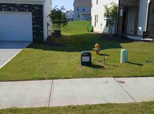 Annika W.'s Lawn Mowing service result
