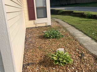 Landscaping by Joseph Taylor for Karl M. in Indianapolis, IN