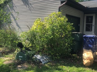 Bush Trimming by Dave Ehrenberg for Vanessa K. in Powell, OH