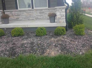 Bush Trimming by Julio Almestica for Jay W. in Lee's Summit, MO