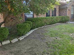 Michael B.'s Bush Trimming service result