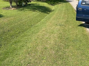 Alvin H.'s Lawn Care service result