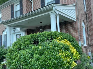 Bush Trimming by Markese Seals for Rosalie B. in Drexel Hill, PA
