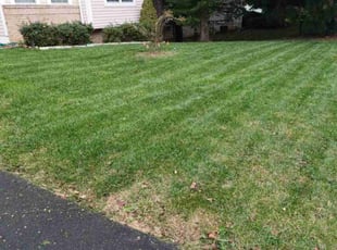 Becky S.'s Lawn Care service result