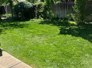 Sandi D.'s Lawn Maintenance service result