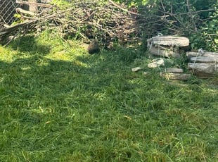 Cleanups by Homecare & Lawncare for Laura H. in Rochester, NY
