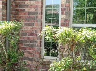 Bush Trimming by Carina Perez for Emily R. in Cypress, TX