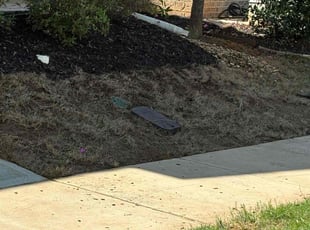 Leaf Removal by Daniel Burse for Alena P. in Smyrna, GA
