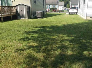 James M.'s Lawn Mowing Service service result