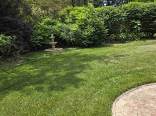 Lilly W.'s Lawn Mowing Service service result