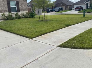 Caleb B.'s Lawn Maintenance service result