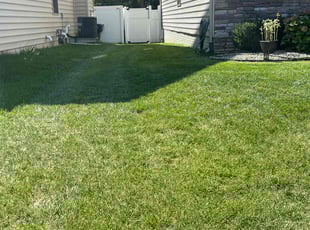 Peggy B.'s Yard Cutting service result