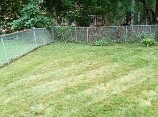 Cleanups by David Murphy for Lindsay F. in Pittsburgh, PA