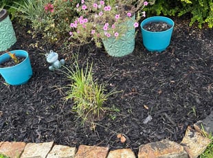 Brittany H.'s Flower Bed Weeding service result