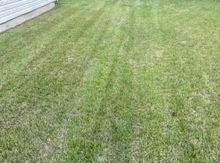 Shawna W.'s Lawn Service service result